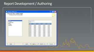 Report Development / Authoring
 