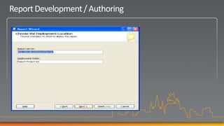 Report Development / Authoring
 