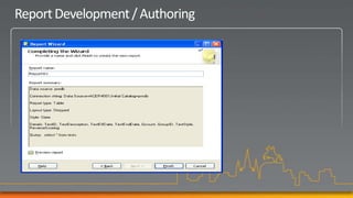 Report Development / Authoring
 