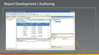 Report Development / Authoring
 