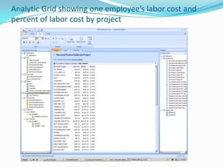 Analytic Grid showing one employee’s labor cost and percent of labor cost by project