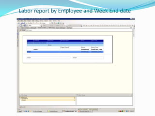         Labor report by Employee and Week End date