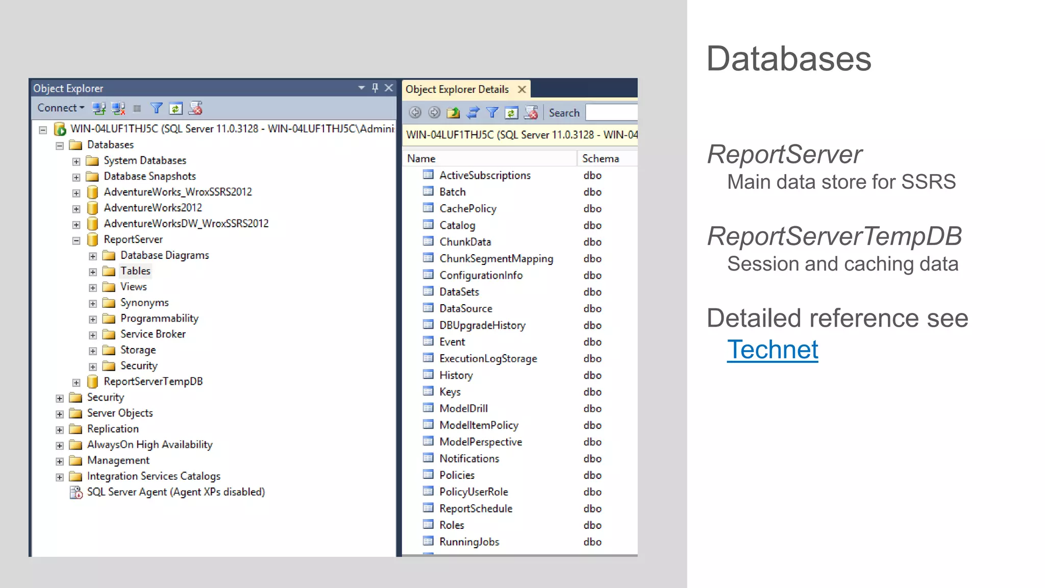 Databases
ReportServer
Main data store for SSRS

ReportServerTempDB
Session and caching data

Detailed reference see
Technet

 