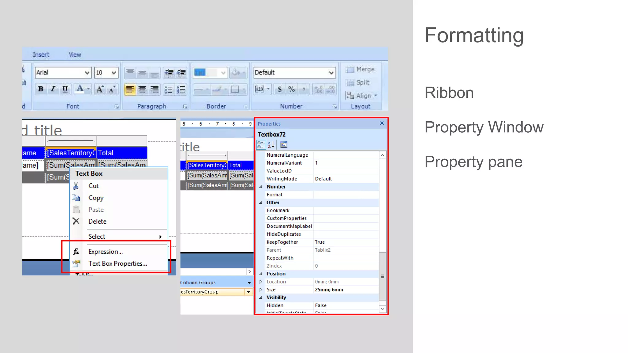 Formatting
Ribbon
Property Window
Property pane

 