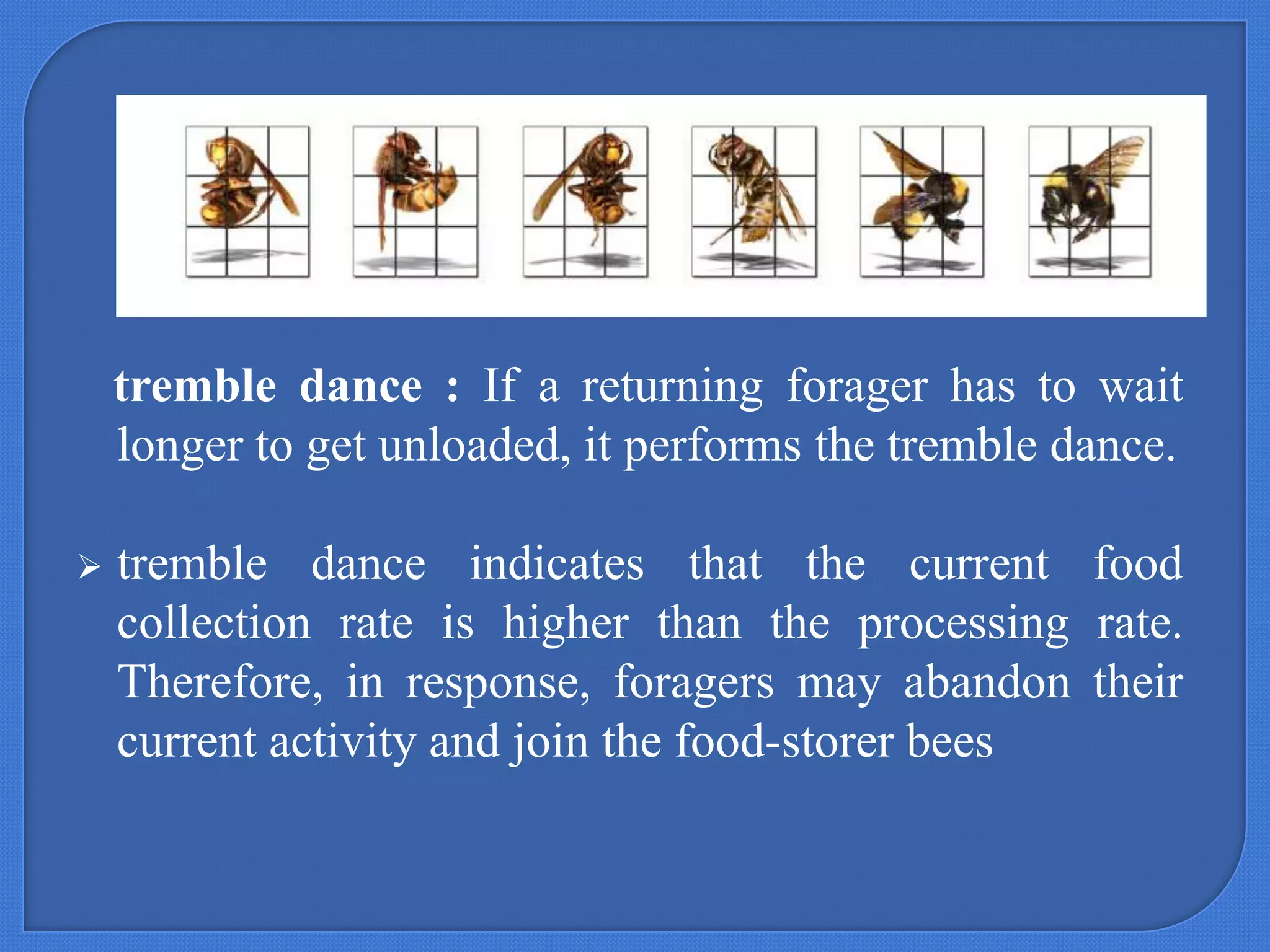 tremble dance : If a returning forager has to wait
longer to get unloaded, it performs the tremble dance.


tremble dance indicates that the current food
collection rate is higher than the processing rate.
Therefore, in response, foragers may abandon their
current activity and join the food-storer bees

 