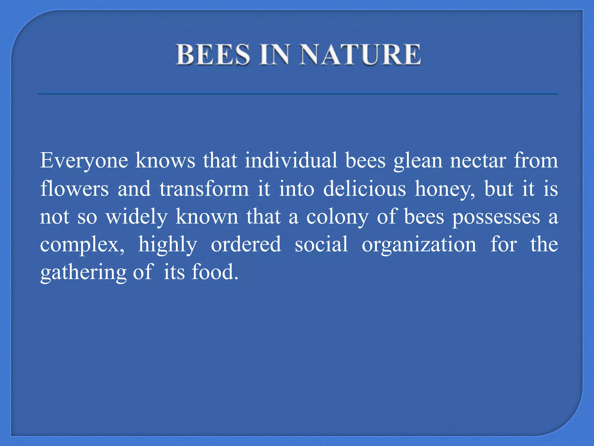 Everyone knows that individual bees glean nectar from
flowers and transform it into delicious honey, but it is
not so widely known that a colony of bees possesses a
complex, highly ordered social organization for the
gathering of its food.

 