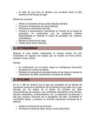  Al cabo de una hora se observa una curvatura hacia el lado
contrario al del bloque de agar.
Efectos de la auxina:
 Inhibe el crecimiento de las yemas laterales del tallo.
 Promueve el desarrollo de raíces laterales.
 Promueve el crecimiento del fruto.
 Produce el gravitropismo (crecimiento en función de la fuerza de
gravedad), en combinación con los estatocitos (células
especializadas en detectar la fuerza de gravedad, por contener
amiloplastos).
 Retrasa la caída de las hojas.
 Puede actuar como herbicida.
2.- CITOQUININAS
Regulan el ciclo celular, estimulando la división celular. Se han
encontrado en órganos con tejidos que se dividen de forma activa:
semillas, frutos y raíces.
Efectos:
 En combinación con la auxina, regula la morfogénesis (formación
de tejidos) en cultivos de tejidos.
 Retrasan la senescencia (envejecimiento de las hojas) al retrasar la
inactivación del ADN, permitiendo la síntesis de clorofila.
3.- ETILENO
En el s. XIX se observó que el gas que escapaba de las farolas de
iluminación producía la defoliación de los árboles de las calles. Es un gas
liberado por los tejidos de la planta. Es activado por altas
concentraciones de auxinas, o por ambientes estresantes como heridas,
polución atmosférica, encharcamiento, etc. La exposición de plántulas a
ese gas produce reducción de la elongación del tallo, incrementa el
crecimiento lateral, y produce un anormal crecimiento horizontal de la
plántula.
 Acelera la maduración de los frutos.
 Promueve la caída de hojas, flores y frutos (abscisión).
 