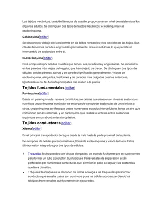 Los tejidos mecánicos, también llamados de sostén, proporcionan un nivel de resistencia a los
órganos adultos. Se distinguen dos tipos de tejidos mecánicos: el colénquima y el
esclerénquima.
Colénquima[editar]
Se dispone por debajo de la epidermis en los tallos herbacéos y los pecíolos de las hojas. Sus
células tienen las paredes engrosadas parcialmente, ricas en celulosa, lo que permite el
intercambio de sustancias entre sí.
Esclerénquima[editar]
Está compuesto por células muertas que tienen sus paredes muy engrosadas. Se encuentra
en las paredes más viejas del vegetal, que han dejado de crecer. Se distinguen dos tipos de
células: células pétreas, cortas y de paredes lignificadas generalmente, y fibras de
esclerénquima, alargadas, fusiformes y de paredes más delgadas que las anteriores,
lignificadas o no. Su función principal es dar sostén a la planta
Tejidos fundamentales[editar]
Parénquima[editar]
Existe un parénquima de reserva constituido por células que almacenan diversas sustancias
nutritivas un parénquima conductor se encarga de transportar sustancias de unos tejidos a
otros, un parénquima aerífero que posee numerosos espacios intercelulares llenos de aire que
comunican con los estomas, y un parénquima que realiza la síntesis activa sustancias
orgánicas en sus abundantes cloroplastos.
Tejidos conductores[editar]
Xilema[editar]
Es el principal transportador del agua desde la raíz hasta la parte proximal de la planta.
Se compone de células parenquimatosas, fibras de esclerénquima y vasos leñosos. Estos
últimos están integrados por dos tipos de células:
 Traqueida: las traqueidas son células alargadas, de aspecto fusiforme que se superponen
para formar un tubo conductor. Sus tabiques transversales de separación están
perforados por numerosas punta duras que permiten el paso del agua y las sustancias
que lleva disueltas.
 Tráqueas: las tráqueas se disponen de forma análoga a las traqueidas para formar
conductos que en este casos son continuos pues las células acaban perdiendo los
tabiques transversales que los mantenían separadas.
 