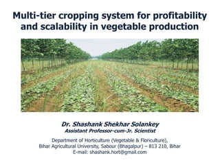 Multi-tier cropping system for profitability
and scalability in vegetable production
Dr. Shashank Shekhar Solankey
Assistant Professor-cum-Jr. Scientist
Department of Horticulture (Vegetable & Floriculture),
Bihar Agricultural University, Sabour (Bhagalpur) – 813 210, Bihar
E-mail: shashank.hort@gmail.com
 