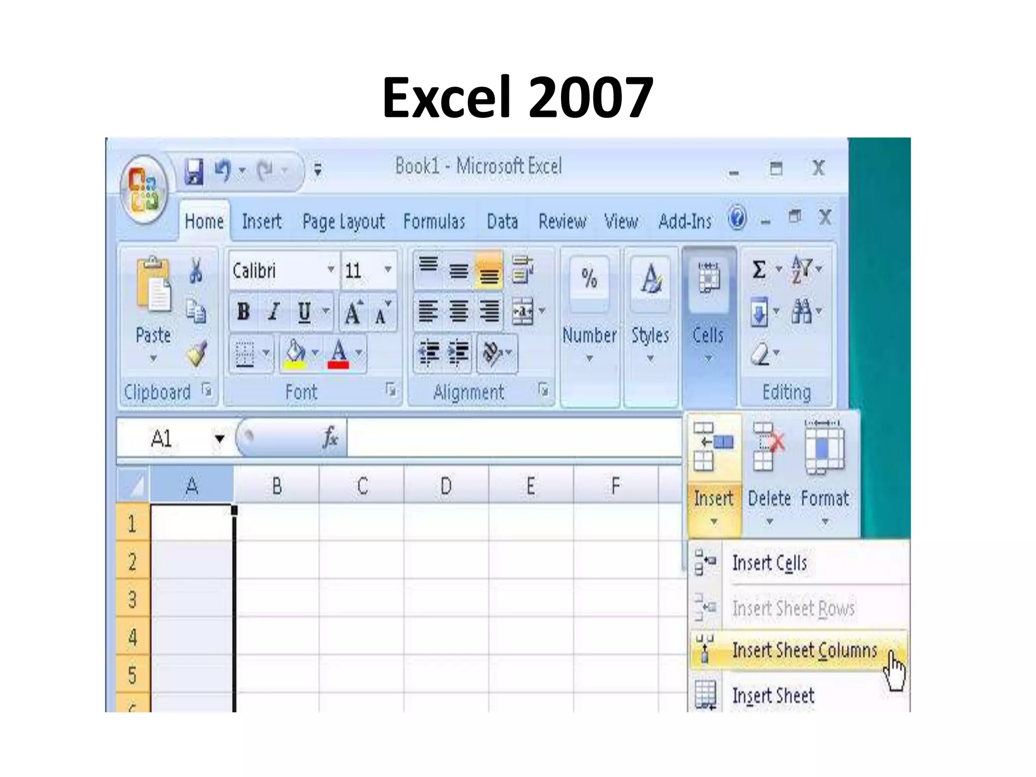 Excel 2007
 