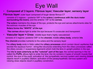 Eye Wall Composed of 3 layers: Fibrous layer; Vascular layer; sensory layer  Fibrous layer :  outer layer composed of tough dense fibrous CT consists of 2 regions – posterior 5/6 th  is the  sclera ( continuous with the dura mater surrounding the brain);  and the anterior 1/6 th  is the  cornea.  The sclera  maintains the shape of the eye, protects the eye and serves attachments sites for the extrinsic muscles of the eye Sclera forms the “WHITE” of the eye  The cornea  allows light to enter the eye because it’s avascular and transparent Vascular layer = Uvea :  middle layer that’s highly vascularized consists of 3 regions: posterior 5/6 th  is the  choroid , middle  ciliary body , anterior  iris The choroid  provides nutrients to the sclera and the sensory layer The  ciliary body  ends in folds called the  ciliary processes  which contain blood capillaries that secrete the aqueous humor ; string-like structures extending from the ciliary processes called the ciliary zonule ( = suspensory ligament) which hold the lens in upright position in the eye The  iris is seen anteriorly as the “colored” part of the eye;  the central opening in the iris called the  PUPIL  allows light to enter the lens; the iris contains 2 types of smooth muscle that control  the size of the pupil; activation of  the sympathetic nervous system and viewing distsnt objects result in pupillary dilation; activation of the parasympathetic nervous system and viewing close objects result in pupillary constriction. 
