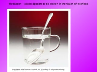 Refraction – spoon appears to be broken at the water-air interface 