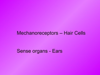Mechanoreceptors – Hair Cells Sense organs - Ears 