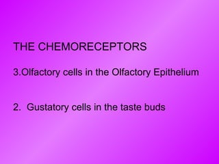 THE CHEMORECEPTORS Olfactory cells in the Olfactory Epithelium 2.  Gustatory cells in the taste buds 
