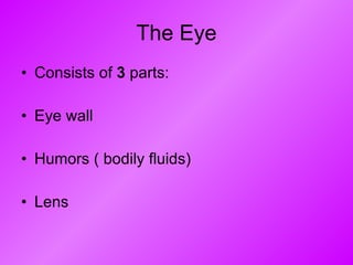 The Eye Consists of  3  parts: Eye wall Humors ( bodily fluids) Lens 