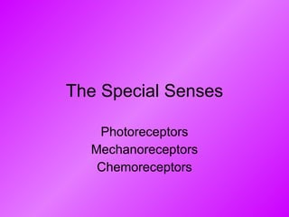 The Special Senses Photoreceptors Mechanoreceptors Chemoreceptors 