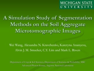 A Simulation Study of Segmentation Methods on the Soil Aggregate Microtomographic Images Wei Wang, Alexandra N. Kravchenko, Kateryna Ananyeva,  Alvin J. M. Smucker, C.Y. Lim and Mark L. Rivers   Department of Crop & Soil Sciences, Department of Statistics & Probability, MSU Advanced Photon Source, Argonne National Laboratory 