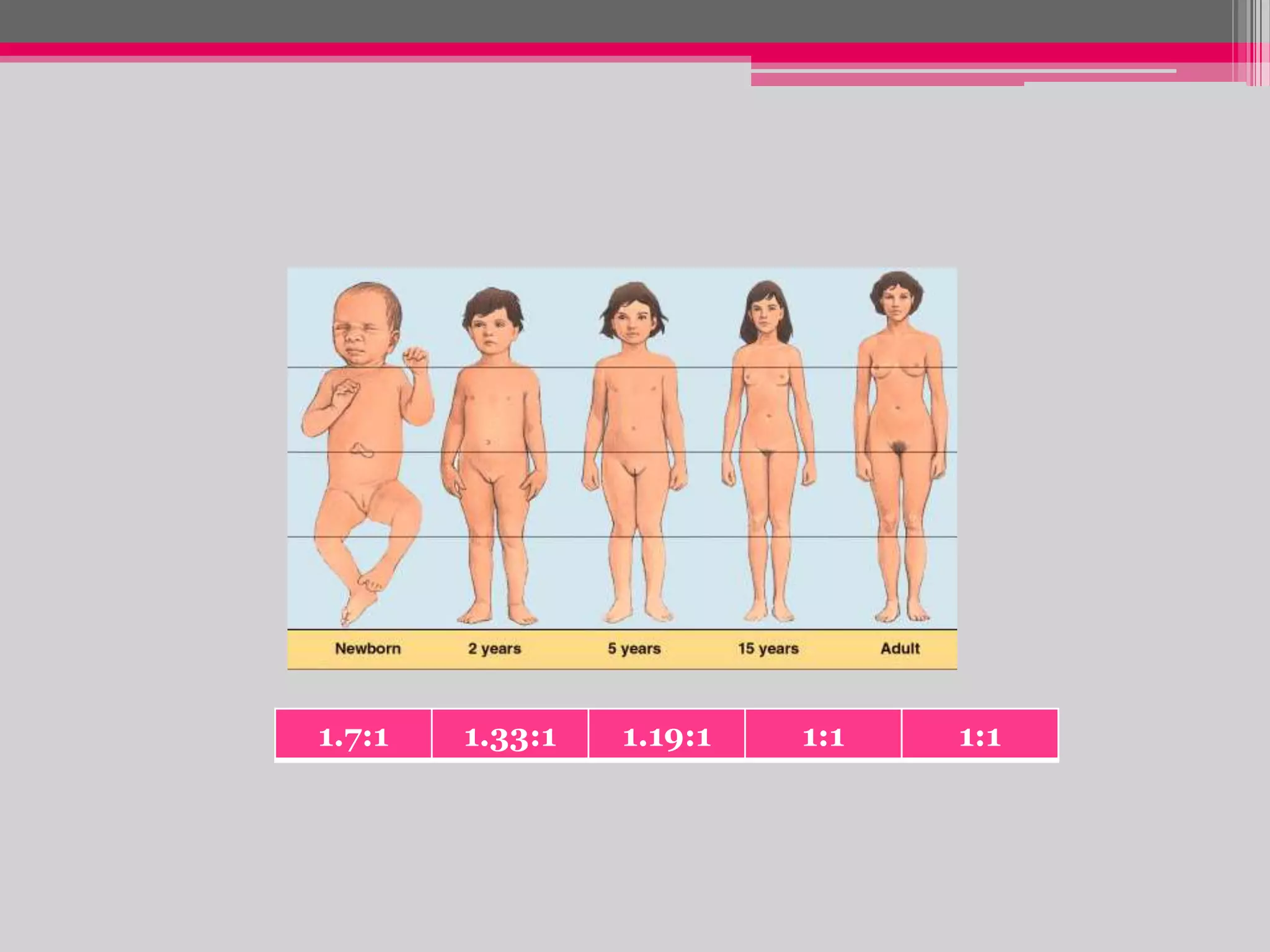 1.7:1

1.33:1

1.19:1

1:1

1:1

 