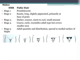 Males:
SMR
• Stage 1
• Stage 2
• Stage 3
• Stage 4
• Stage 5
thighs

Pubic Hair
Preadolescent
Scanty, long, slightly pigmented, primarily at
base of penis
Darker, coarser, starts to curl, small amount
Coarse, curly; resembles adult type but covers
smaller area
Adult quantity and distribution, spread to medial surface of

 