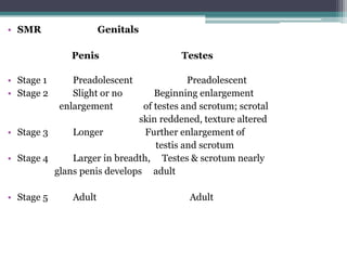 • SMR

Genitals
Penis

• Stage 1
• Stage 2

Testes

Preadolescent
Beginning enlargement
of testes and scrotum; scrotal
skin reddened, texture altered
• Stage 3
Longer
Further enlargement of
testis and scrotum
• Stage 4
Larger in breadth, Testes & scrotum nearly
glans penis develops adult
• Stage 5

Preadolescent
Slight or no
enlargement

Adult

Adult

 