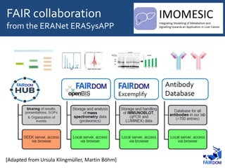 [Adapted from Ursula Klingmüller, Martin Böhm]
Excemplify
Antibody
Database
FAIR collaboration
from the ERANet ERASysAPP
 