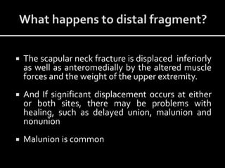  The scapular neck fracture is displaced inferiorly
as well as anteromedially by the altered muscle
forces and the weight of the upper extremity.
 And If significant displacement occurs at either
or both sites, there may be problems with
healing, such as delayed union, malunion and
nonunion
 Malunion is common
 