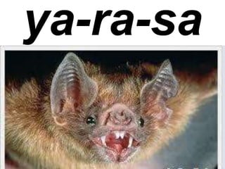 ya-ra-sa 
 