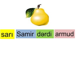 sarı Samir dərdi armud 
 
