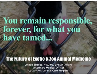 You remain responsible,
forever, for what you
have tamed...
The Future of Exotic & Zoo Animal Medicine
Jeleen Briscoe, VMD’02, DABVP (Avian)
Veterinary Medical Officer
USDA/APHIS Animal Care Program
 