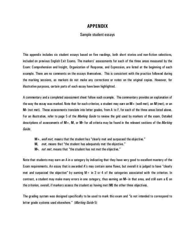 ss sse sample student essays essay examination