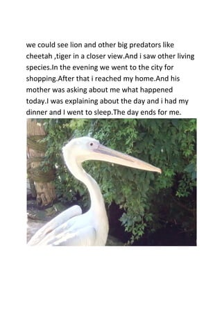 we could see lion and other big predators like
cheetah ,tiger in a closer view.And i saw other living
species.In the evening we went to the city for
shopping.After that i reached my home.And his
mother was asking about me what happened
today.I was explaining about the day and i had my
dinner and I went to sleep.The day ends for me.
 