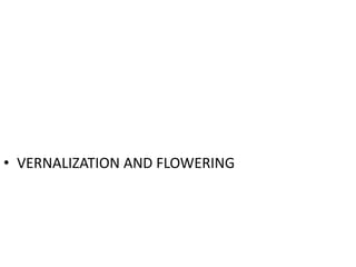 • VERNALIZATION AND FLOWERING
 