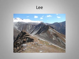 Lee
 