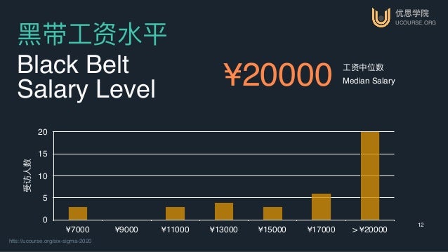 优思学院 UCOURSE.ORG htts://ucourse.org/six-sigma-2020 12 ⿊黑带⼯工资⽔水平 Black Belt Salary Level 受访⼈人数 0 5 10 15 20 ¥7000 ¥9000 ¥11...