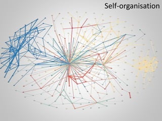 Self-organisation
 