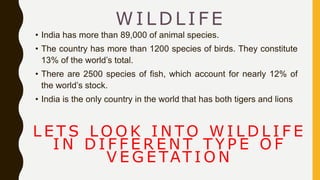 WILDLIFE
• India has more than 89,000 of animal species.
• The country has more than 1200 species of birds. They constitut...