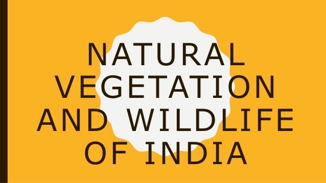 wildlife and natural vegetation Due to its geographic location, the state of andhra pradesh is considered one of the rich biodiversity states in india natural vegetation and animal life depend. wildlife and natural vegetation Due to its geographic location, the state of andhra pradesh is considered one of the rich biodiversity states in india natural vegetation and animal life depend.
