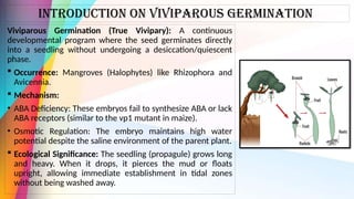 Molecular and Genetic Mechanisms of Seed Dormancy and Germination ...