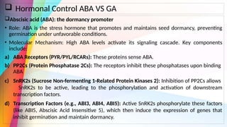 Molecular and Genetic Mechanisms of Seed Dormancy and Germination ...