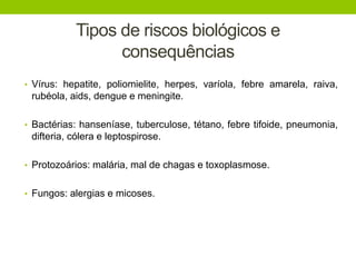 Tipos de riscos biológicos e
consequências
• Vírus: hepatite, poliomielite, herpes, varíola, febre amarela, raiva,
rubéola, aids, dengue e meningite.
• Bactérias: hanseníase, tuberculose, tétano, febre tifoide, pneumonia,
difteria, cólera e leptospirose.
• Protozoários: malária, mal de chagas e toxoplasmose.
• Fungos: alergias e micoses.
 
