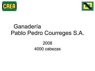 Ganadería  Pablo Pedro Courreges S.A. 2008 4000 cabezas 