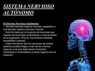 SISTEMA NERVIOSO
AUTÓNOMO
El Sistema Nervioso Autónomo:
También llamado sistema nervioso vegetativo o
mal llamado sistema nervioso visceral.
Está formado por el conjunto de neuronas que
regulan las funciones involuntarias o inconscientes
en el organismo. (Por Ej. movimiento intestinal,
sensibilidad visceral).
Cabe mencionar que las neuronas de ambos
sistemas pueden llegar o salir de los mismos
órganos si es que éstos tienen funciones
voluntarias e involuntarias (y éstos órganos son la
mayoría).
 