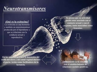 Neurotransmisores
¡Qué es la oxitocina?
La oxitocina es una hormona
y también un neurotransmisor
producida por el hipotálamo y
que se relaciona con la
conducta sexual y
reproductiva.
En las mujeres provoca la distensión del
cuello del útero y del canal vaginal durante
el parto. Actúa como facilitadora da la
lactancia.
Se piensa que su actividad
puede estar asociada con el
contacto sexual y con el
orgasmo, tanto masculino como
femenino.
Últimamente se la relaciona
con el establecimiento de
relaciones sociales positivas.
 