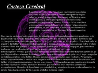 Hace mas de un siglo se hicieron autopsias de individuos que habían estado parcialmente paralizados o sin
poder hablar y se encontró daño en las áreas corticales, pero esta evidencia de que partes específicas del
cerebro podían tener funciones específicas era pobre y no convenció a los investigadores. Después de todo, si
el control del habla y el movimiento fuera difuso en la corteza, el daño de casi cualquier área podría producir
el mismo efecto. Por ejemplo, si se corta el cable de alimentación la televisión se apagará, pero estaríamos
totalmente equivocados si creyéramos que la imagen está localizada en el cable.
Esta analogía nos recuerda que tan fácil es equivocarse cuando tratamos de localizar funciones cerebrales, ya
que dibujamos líneas alrededor de áreas del cerebro como si fueran fronteras de países en el mapa, aunque las
actividades complejas como hablar, dibujar o caminar involucran muchas áreas cerebrales. Por ejemplo,
nuestra experiencia sobre la música vocal integra la actividad cerebral en áreas que están involucradas en el
habla y el procesamiento muscular, y Besson y sus colegas (1998) descubrieron esto mientras registraban la
actividad eléctrica del cerebro de músicos franceses que escuchaban arias operáticas cantadas sin
acompañamiento. El cerebro de los músicos procesaba la lírica y sintonía en áreas separadas del cerebro, de
camino hacia la experiencia de "la exquisita unidad de la música vocal".
Corteza Cerebral
La corteza cerebral es una cubierta con neuronas interconectadas
que, como la corteza de un árbol, forman una superficie delgada
sobre los hemisferios cerebrales. Las ranas y anfibios tienen una
corteza pequeña y operan principalmente con instrucciones
genéticas pre-programadas, mientras la corteza de los mamíferos
ofrece una mayor capacidad para el aprendizaje y el pensamiento,
permitiéndoles ser mas adaptables. Lo que nos hace humanos se
origina en la complejidad de las funciones de la corteza cerebral.
 