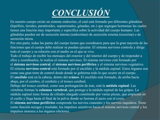 En nuestro cuerpo existe un sistema endocrino, el cual está formado por diferentes glándulas
(hipófisis, tiroides, paratiroides, suprarrenales, gónadas, etc.) que segregan hormonas las cuales
tienen una función muy importante y especifica sobre la actividad del cuerpo humano. Las
glándulas pueden ser de secreción interna (endocrinas) de secreción externa (exocrina) o de
secreción mixta.
Por otra parte, todas las partes del cuerpo tienen que coordinarse para que la gran mayoría de las
funciones que el cuerpo debe realizar se puedan ejecutar. El sistema nervioso controla y dirige
todo el cuerpo y su relación con el medio en el que se vive.
Todo el trabajo de recibir los mensajes del exterior y del interior del cuerpo y de responder a
ellos y coordinarlos, lo realiza el sistema nervioso. El sistema nervioso está formado por
el sistema nervioso central, el sistema nervioso periférico y el sistema nervioso vegetativo.
El sistema nervioso central está formado por el encéfalo y la médula espinal. Estos órganos son
como una gran torre de control desde donde se gobierna todo lo que ocurre en el cuerpo.
El encéfalo está en la cabeza, dentro del cráneo. El encéfalo está formado, de arriba hacia
abajo, por el cerebro, el cerebelo y el tronco cerebral.
Debajo del tronco cerebral, como una prolongación de éste, está la médula espinal. Las
vértebras forman la columna vertebral, que protege a la médula espinal de los golpes. La
médula espinal tiene forma de cilindro alargado constituido por varias piezas, que empiezan en
el cuello y llega hasta el final de la pelvis donde se fusiona el sacro con el coxis.
El sistema nervioso periférico comprende los nervios craneales y los nervios raquídeos. Tiene
como función recoger y trasladar, los impulsos sensitivos hacia el sistema nervioso central y los
impulsos motores a los órganos efectores.
CONCLUSIÓN
 