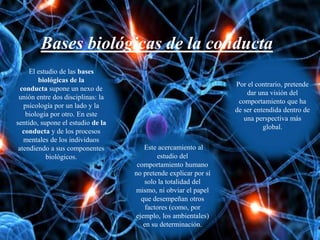 El estudio de las bases
biológicas de la
conducta supone un nexo de
unión entre dos disciplinas: la
psicología por un lado y la
biología por otro. En este
sentido, supone el estudio de la
conducta y de los procesos
mentales de los individuos
atendiendo a sus componentes
biológicos.
Este acercamiento al
estudio del
comportamiento humano
no pretende explicar por sí
solo la totalidad del
mismo, ni obviar el papel
que desempeñan otros
factores (como, por
ejemplo, los ambientales)
en su determinación.
Por el contrario, pretende
dar una visión del
comportamiento que ha
de ser entendida dentro de
una perspectiva más
global.
Bases biológicas de la conducta
 