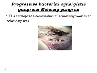 Progressive bacterial synergistic
gangrene Meleney gangrne
 This develops as a complication of laparotomy wounds or
colostomy sites.
 
