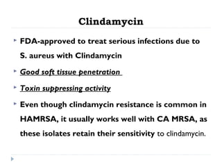 Clindamycin
 FDA-approved to treat serious infections due to
S. aureus with Clindamycin
 Good soft tissue penetration
 Toxin suppressing activity
 Even though clindamycin resistance is common in
HAMRSA, it usually works well with CA MRSA, as
these isolates retain their sensitivity to clindamycin.
 