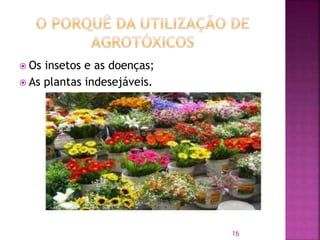  Os insetos e as doenças;
 As plantas indesejáveis.
16
 