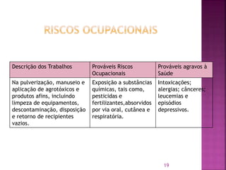 Descrição dos Trabalhos Prováveis Riscos
Ocupacionais
Prováveis agravos à
Saúde
Na pulverização, manuseio e
aplicação de agrotóxicos e
produtos afins, incluindo
limpeza de equipamentos,
descontaminação, disposição
e retorno de recipientes
vazios.
Exposição a substâncias
químicas, tais como,
pesticidas e
fertilizantes,absorvidos
por via oral, cutânea e
respiratória.
Intoxicações;
alergias; cânceres;
leucemias e
episódios
depressivos.
19
 